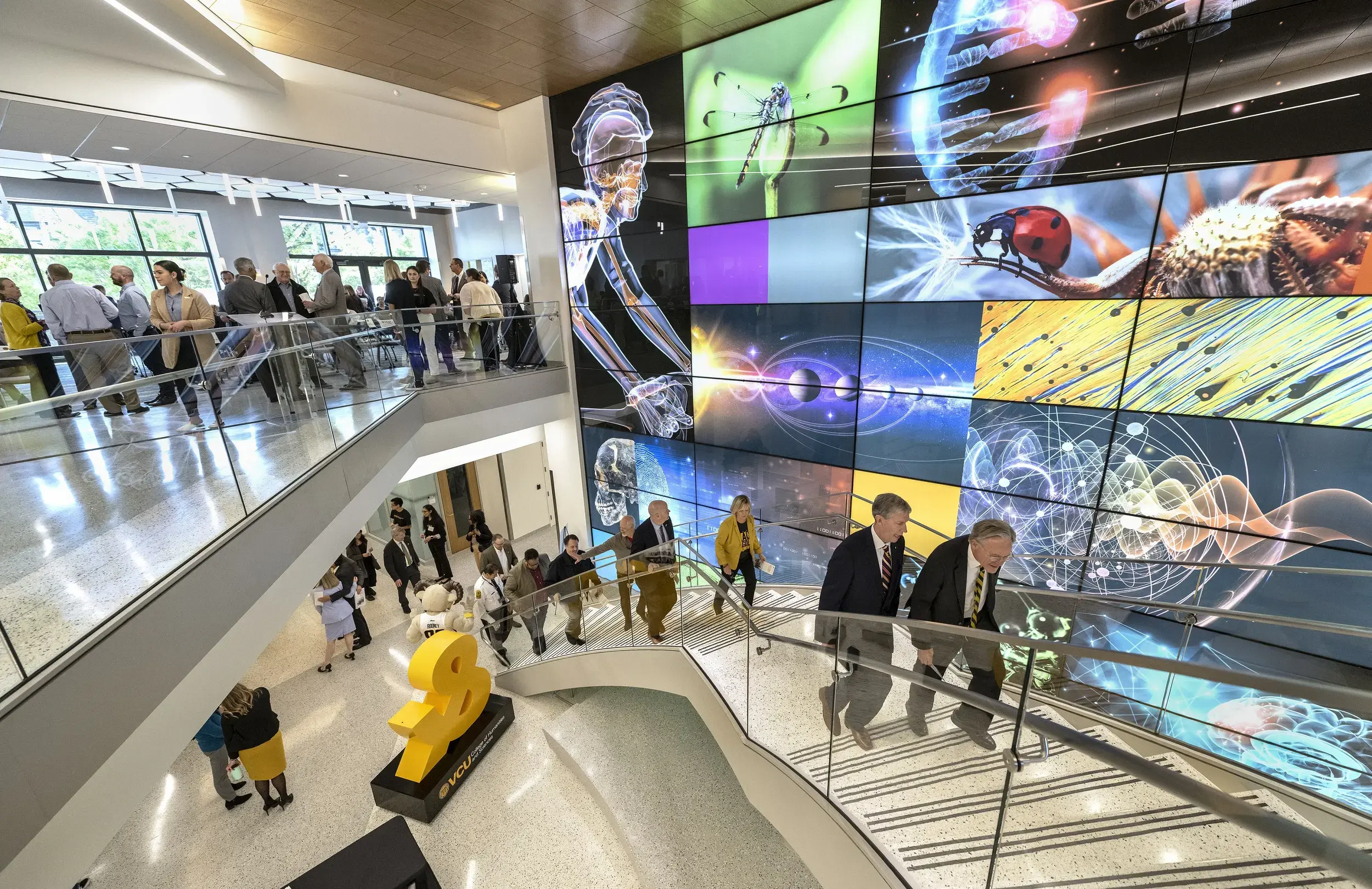 An image of the VCU STEM Building.