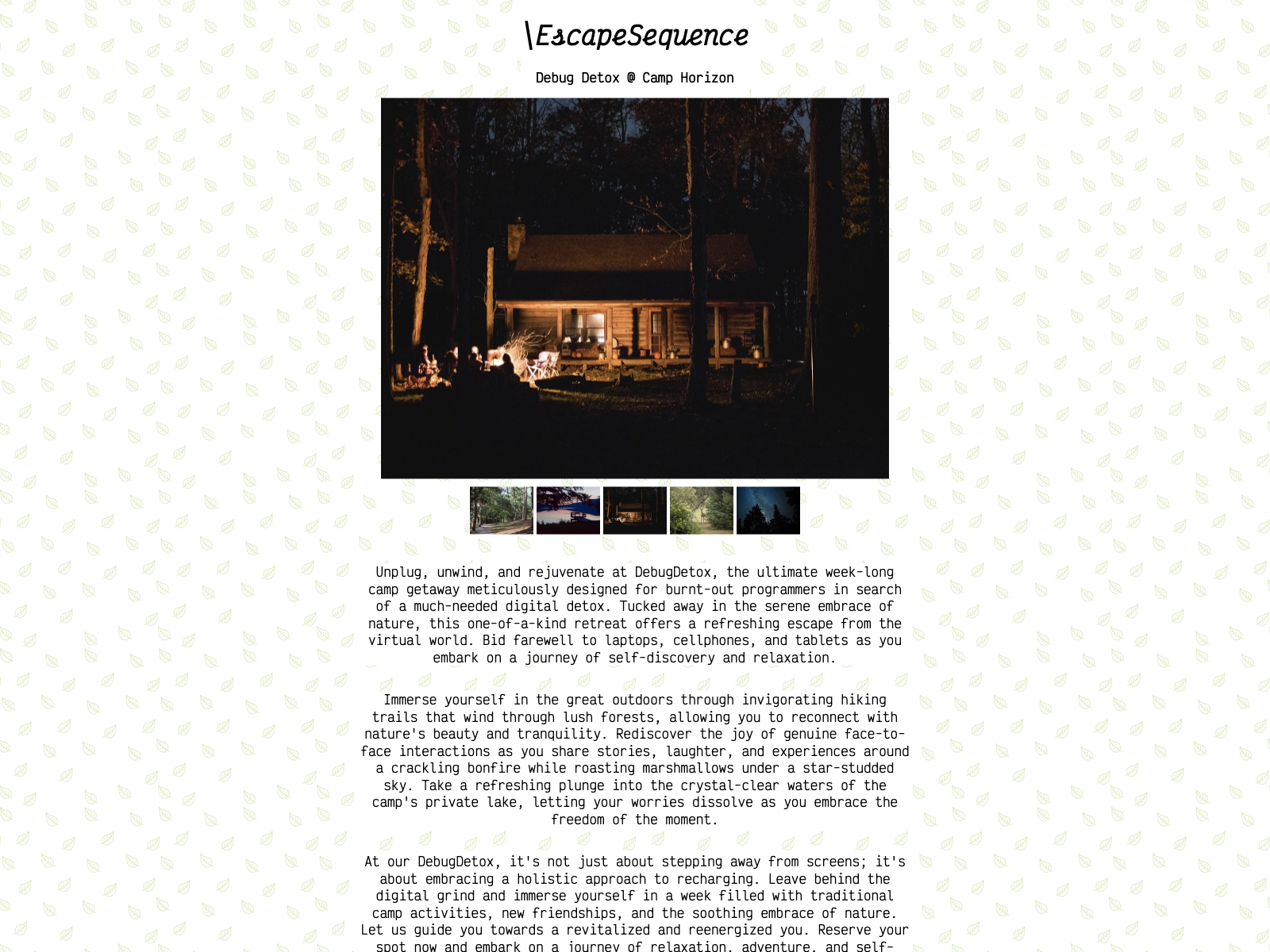 Escape Sequence Website Page