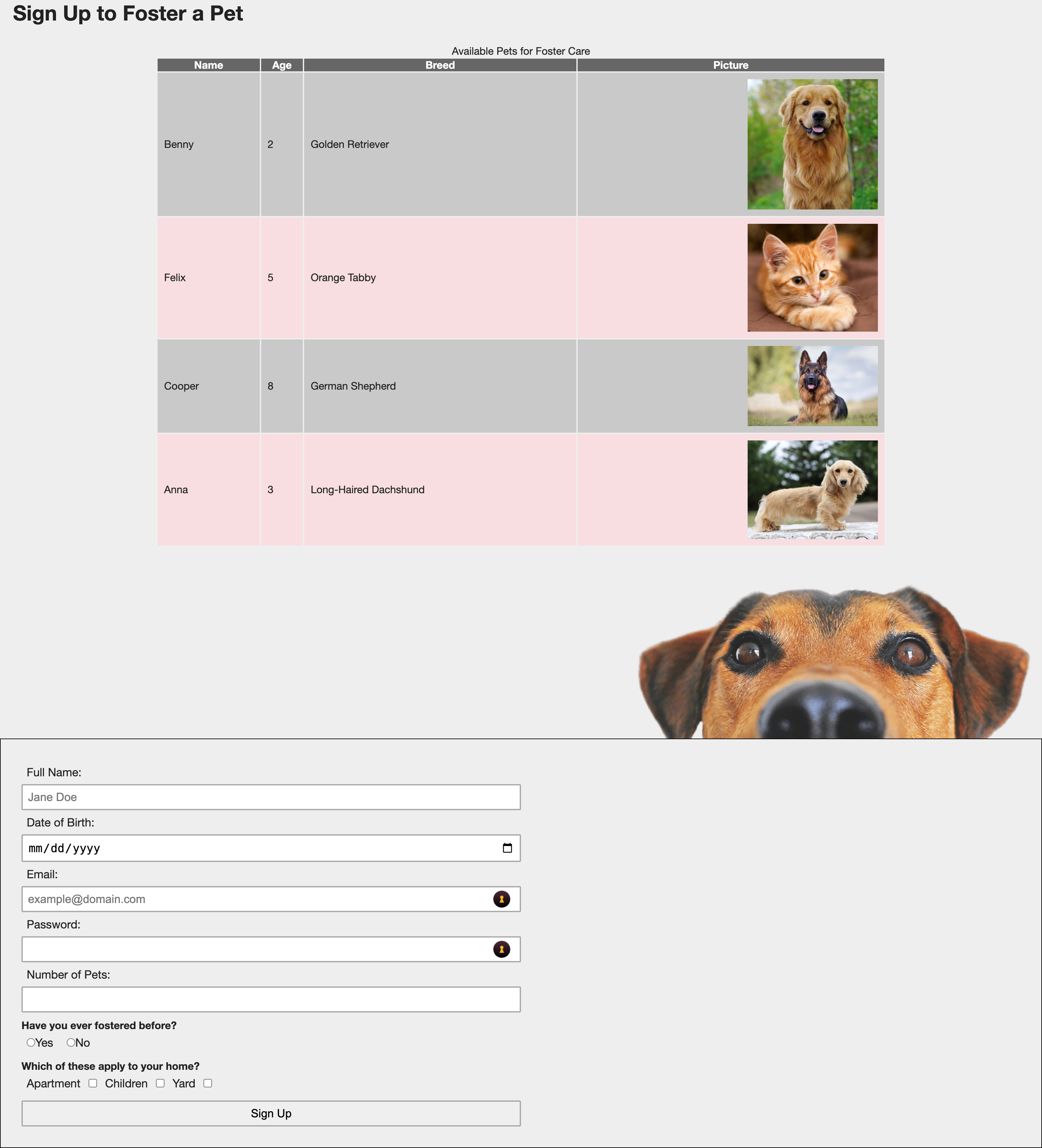 An image of the foster pet registration website.